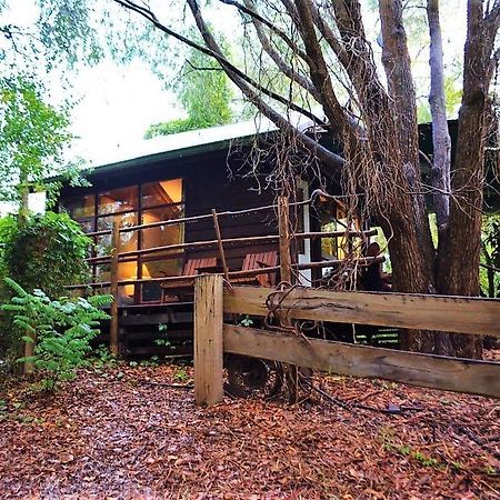 Black Cockatoo Lodge Nannup Eksteriør bilde