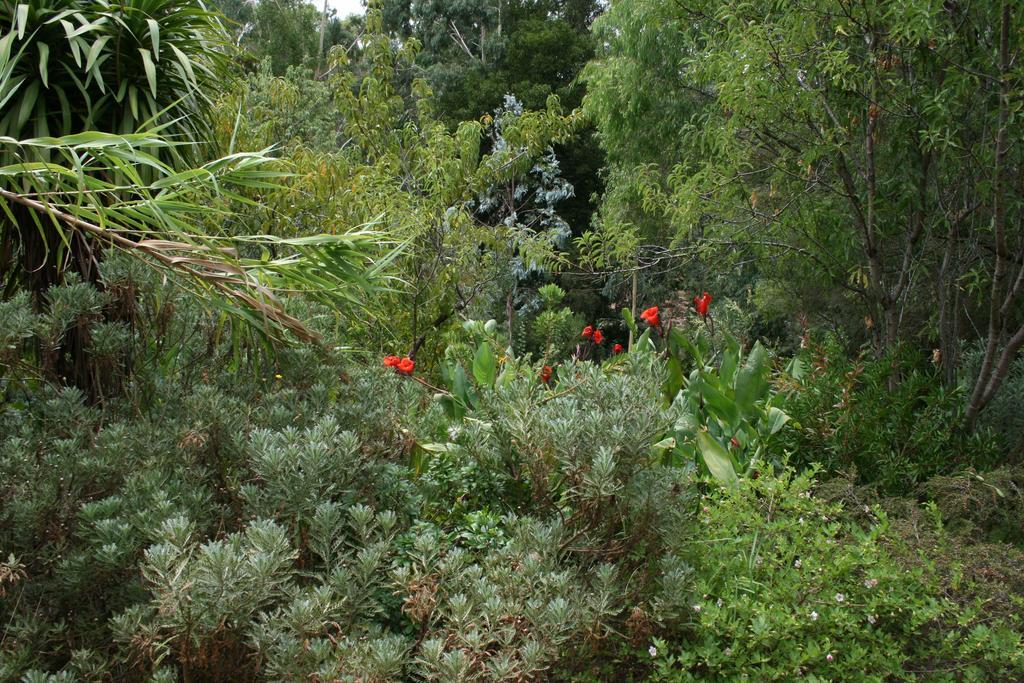 Black Cockatoo Lodge Nannup Eksteriør bilde