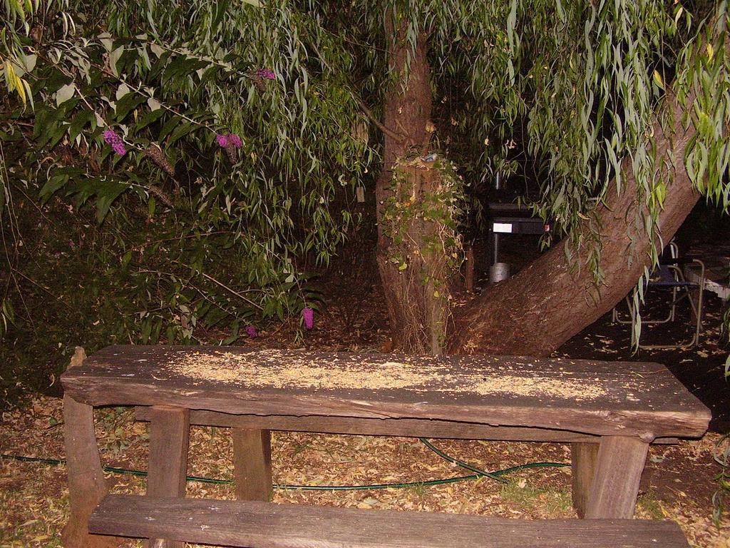 Black Cockatoo Lodge Nannup Eksteriør bilde