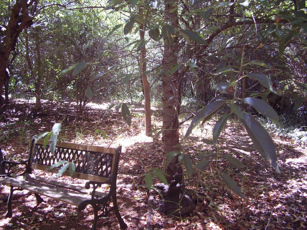Black Cockatoo Lodge Nannup Eksteriør bilde